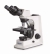 Light Microscopes Lab-Line OBL 12/13