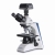 Light microscopes Professional Line OBN 13 sets, with C-mount camera