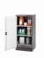 Chemical cabinet CS-Classic 545 x 520 x 1105 mm (WxDxH), swing doors anthracite RAL 7016, 2 shelves, 1 perforated