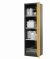 Swing door cabinet CS-Classic 545x520x1950mm (WxDxH),RAL 7016/1004 3x bottom shelf, 1x bottom collecting tray