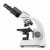 Light Microscopes Educational-Line OBT