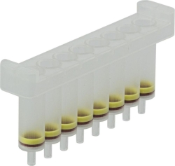 Dummy Strips (6) Strips to close unused rows of column holders during vacuum processing of NucleoSpin 8-well kits, Pack of 6