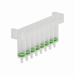 NucleoSpin<sup>&reg;</sup> 8 Tissue, kits