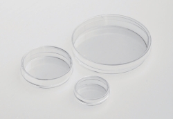 IVF Petrischalen