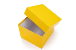Kryoboxen, kunststoffbeschichtet, 136 x 136, ohne Rastereinsatz