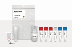 Plasmidreinigungs-Kits I-Blue Mini / Midi