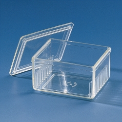 Staining troughs, Schiefferdecker, PMP