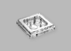 Zellkulturplatten, unbehandelt, PS, steril