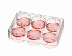 Multischalen Nunc™, PS, mit Nunclon™ Supra-Oberfläche