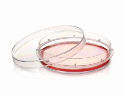 Zellkulturschalen Nunc™ EasYDish™, PS, mit Nunclon™ Supra-Oberfläche