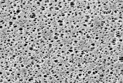 PES membrane, 0.2µm, 90mm, type 15407 pack of 50