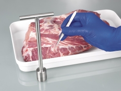 BeefSteaker V2A
