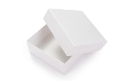 Kryoboxen, kunststoffbeschichtet, 133 x 133, ohne Rastereinsatz