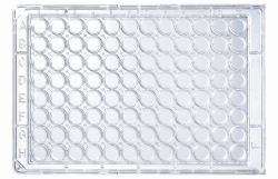 96-Well-UV-Mikrotiterplatte