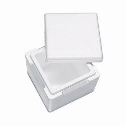 Isolierbox mit Deckel, EPS