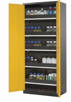 C-cupboard CS-Classic WD Body RAL 7016, 810x520x1950mm Structure door RAL 1004