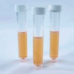 Röhrchentests für Anaerobier Lovibond® Dipslides