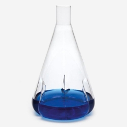 Erlenmeyer - culture flask 100 ml straight neck
