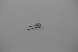 Birne Kern OBB-A1488