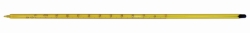 Allgebrauchsthermometer <i>economy</i>, blaue Füllung