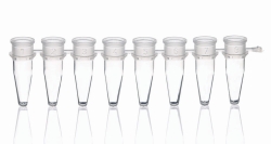 PCR-Gefäße 8er-Strips, PP, ohne Deckel
