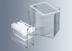 F&auml;rbeeinsatz f&uuml;r F&auml;rbekasten nach Hausser/Gedigk, Edelstahl