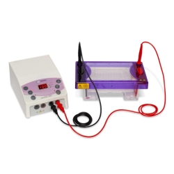 Elektrophoresepaket MSMIDI96-PP300
