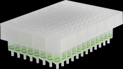 NucleoSpin<sup>®</sup> 8 / 96 Gewebe