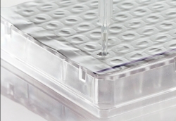 Verschlussfolie Pierce Seal