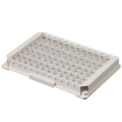 Module im Rahmen Immobilizer™ Streptavidin, PS