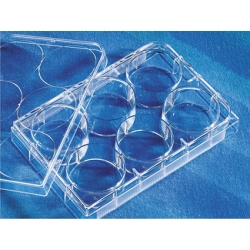 Ultra-low attachment plate 6 well, pack of 24