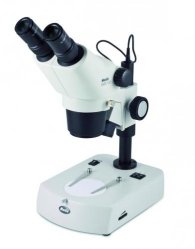 Stereomicroscopes
