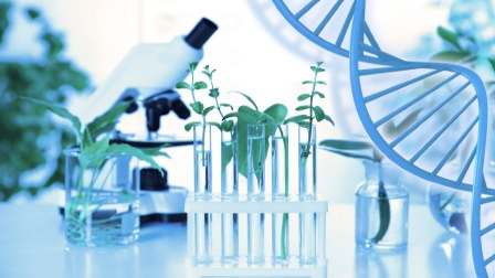 Life Science