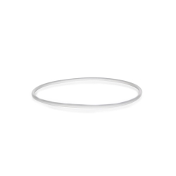 O-Ring aus Silikon (VMQ) transparent, 110 x 4 mm passend f&uuml;r Flansch DN 100