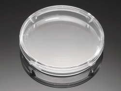 Petri dishes Falcon<sup>&reg;</sup>, PS, standard