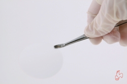 Membrane Filters, cellulose acetate, non sterile