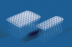 24/48-well PCR plates, non-skirted, PP