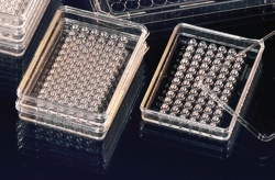 MicroWell™ Platten MiniTrays Nunclon™Â”, PS