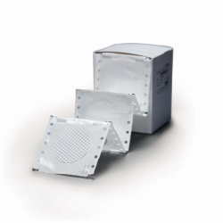 Membrane filters type 131, hydrophobic edged cellulose nitrate, with 6 mm edge