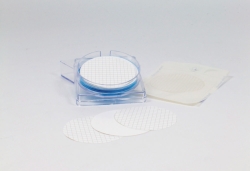 Membran<i>e</i> filters, mixed cellulose ester, with grid