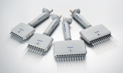 Multichannel microliter pipettes Eppendorf Reference<sup>&reg;</sup> 2 (General Lab Product), variable