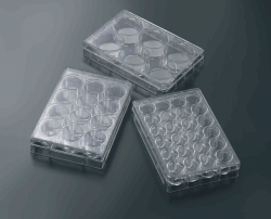 3D-Zellkulturplatten CellSCAFLD<sup>®</sup>, behandelt, PS, steril