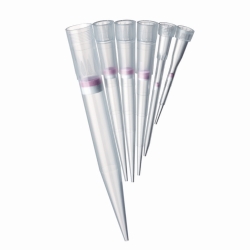 Pipettenspitzen ep-Dualfilter T.I.P.S.<sup>®</sup> SealMax (General Lab Product)