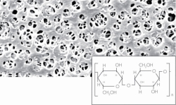 Membrane filters, regenerated cellulose