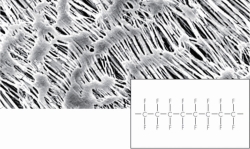 Membranfilter, hydrophob, PTFE