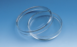 Petrischalen, Kalk-Natron-Glas, mit Deckel