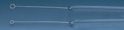 Impfösen, Platin-Iridium, eingeschmolzen im Glasstab