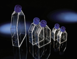 Zellkulturflaschen EasYFlask™, behandelt, PS/PE-HD, steril