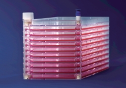 Wannenstapel EasyFill™ mit Nunclon™Â” Oberfläche, PS, steril