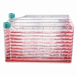 Mehrschichtige Zellkultursysteme CellSafe<sup>TM</sup> CellFac<sup>®</sup> 10-lagig